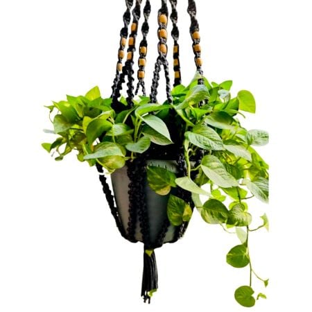 Decorative Rope Plant Pot Hanger